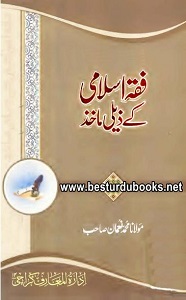 Fiqh e Islami kay Zeli Maakhiz By Maulana Muhammad Noman فقہ اسلامی کے ذیلی مآخذ