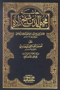 Hashia Shykhzada Ala Tafseer Al Baizawi حاشیہ شیخ زادہ علی تفسیر البیضاوی
