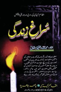 Suragh e Zindagi By Maulana Abdul Qayyum Haqqani سراغ زندگی