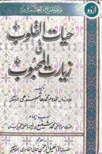 Hayat ul Quloob By Allama Muhammad Hashim Sindhi حیات القلوب فی زیارۃ المحبوب از حضرت مولانا مخدوم محمد ہاشم ٹھٹھوی