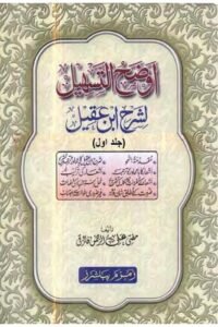 Auzah al Tasheel Sharh Urdu Sharh e Ibn e Aqeel اوضح التسہیل شرح اردو شرح ابن عقیل